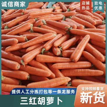 河南胡萝卜开封三红胡萝卜条形顺直货量大承接加工电商社区