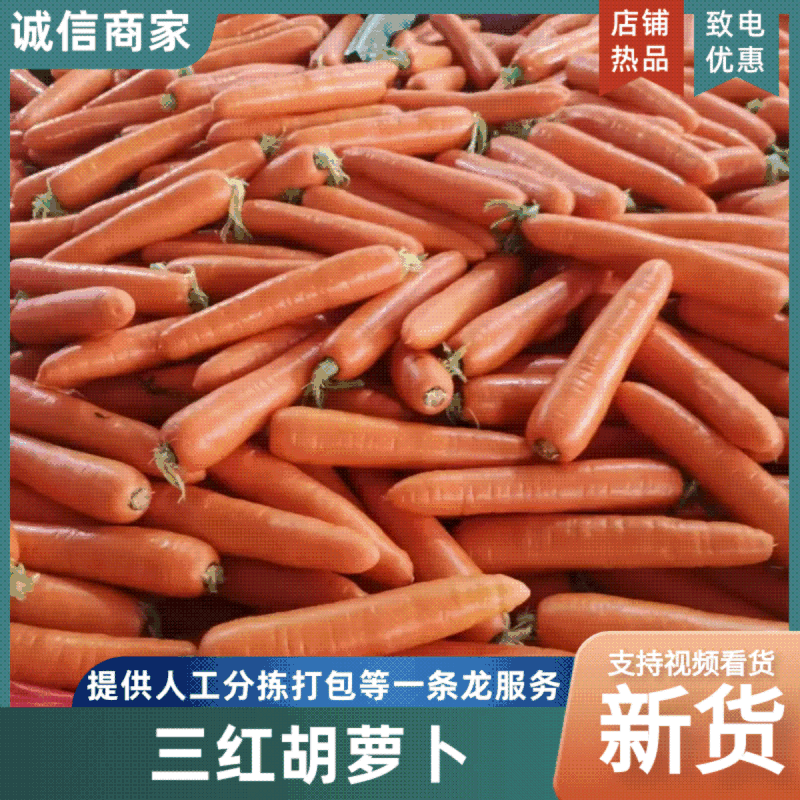 河南胡萝卜开封三红胡萝卜条形顺直货量大承接加工电商社区