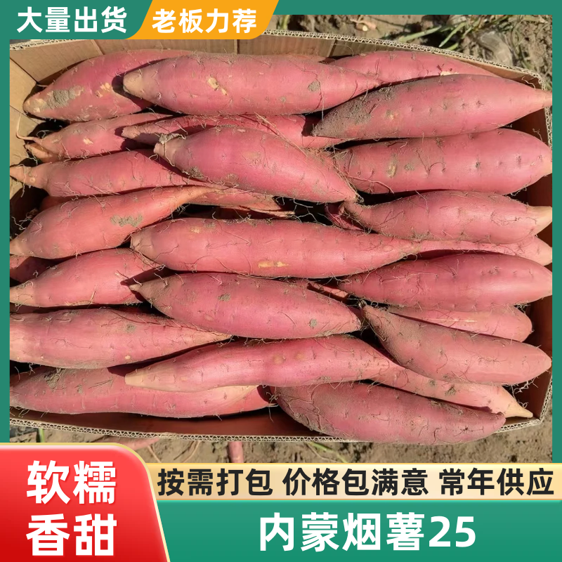 【热卖】烟薯蜜烤红薯，产地直供，批发零售，全国发货，量大从优