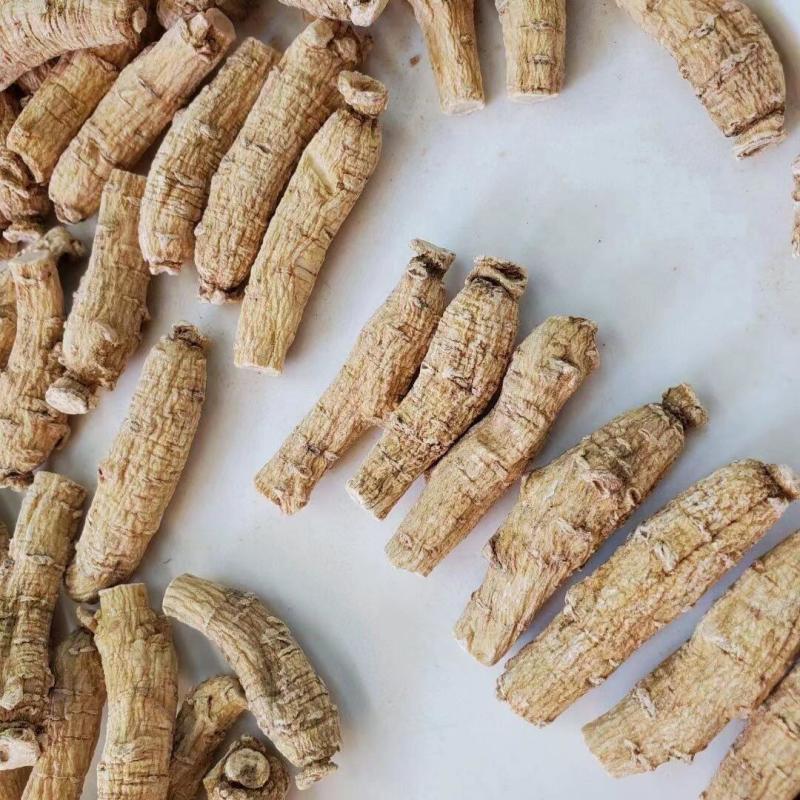现货批发山东西洋参短枝散装到家整根整枝足西洋参
