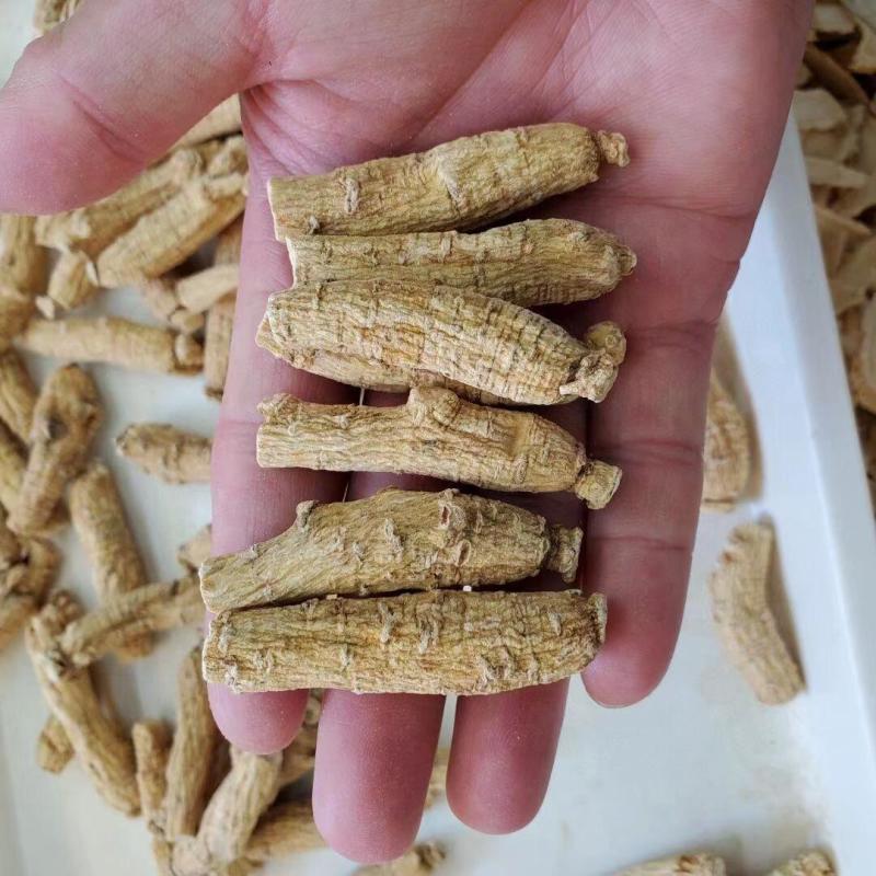 现货批发山东西洋参短枝散装到家整根整枝足西洋参