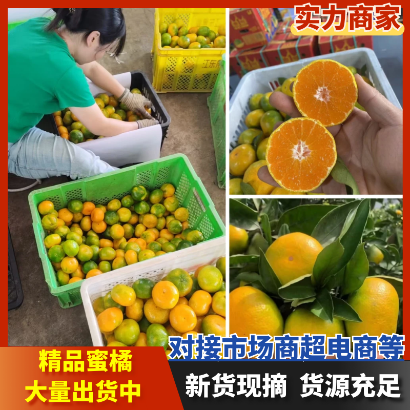 蜜橘柑桔云南蜜橘现摘现发皮薄味甜保质保量