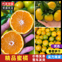 蜜橘精品柑桔产地直供品质保障洗果打蜡按需分拣