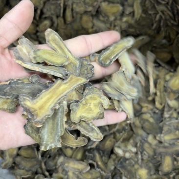 三七云南文山三七中药批发