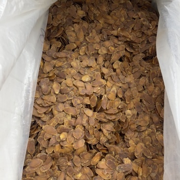 无糖红参片无糖片多种规格足龄老参量大可议价长白山