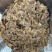 无糖红参片无糖片多种规格足龄老参量大可议价长白山