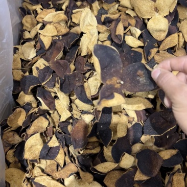 新会陈皮老泡水广东特产烤干橘皮柑皮桔子皮陈皮
