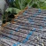 河南黑品甘蔗接长量大按要求分拣打包打捆装车承接加工批发电商