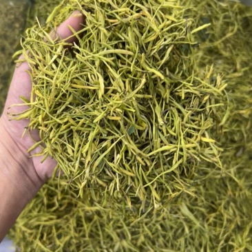 大量现货湖南金银花现货供应中金银花湖南金银花