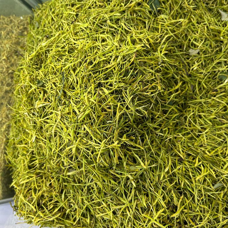 大量现货湖南金银花现货供应中金银花湖南金银花