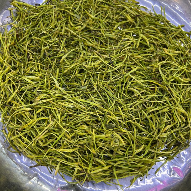 大量现货湖南金银花现货供应中金银花湖南金银花