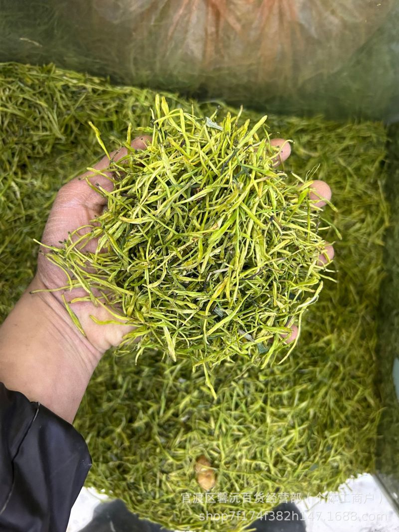 大量现货湖南金银花现货供应中金银花湖南金银花