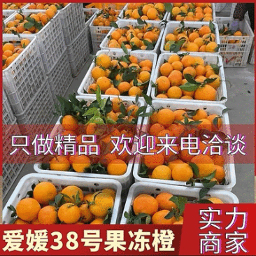 爱媛38号&爱媛果冻橙&爱媛橙/基地现货直供/可发全国