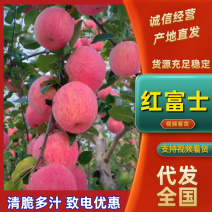《实力推荐》红富士苹果/市场货电商货/保质保量/全国发货