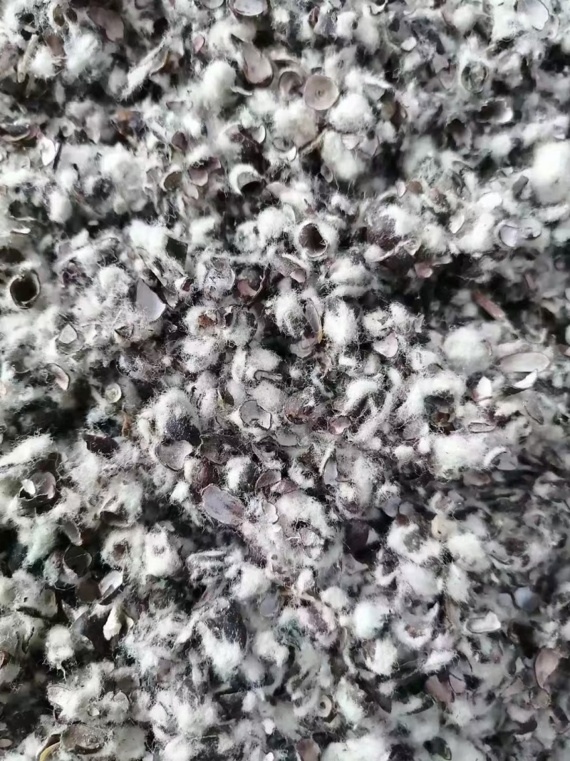 新疆棉壳量大从优价格美丽可视频看货诚信经营