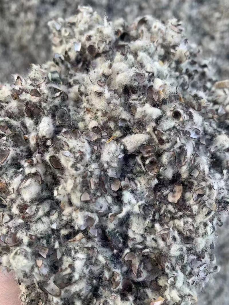 新疆棉壳量大从优价格美丽可视频看货诚信经营
