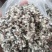 新疆棉壳量大从优价格美丽可视频看货诚信经营