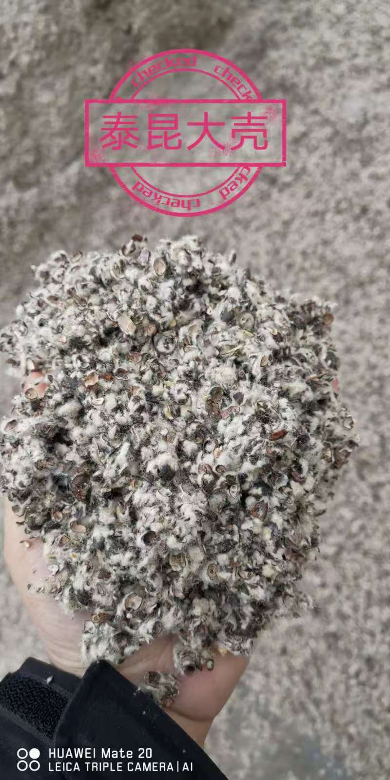 新疆棉壳量大从优价格美丽可视频看货诚信经营