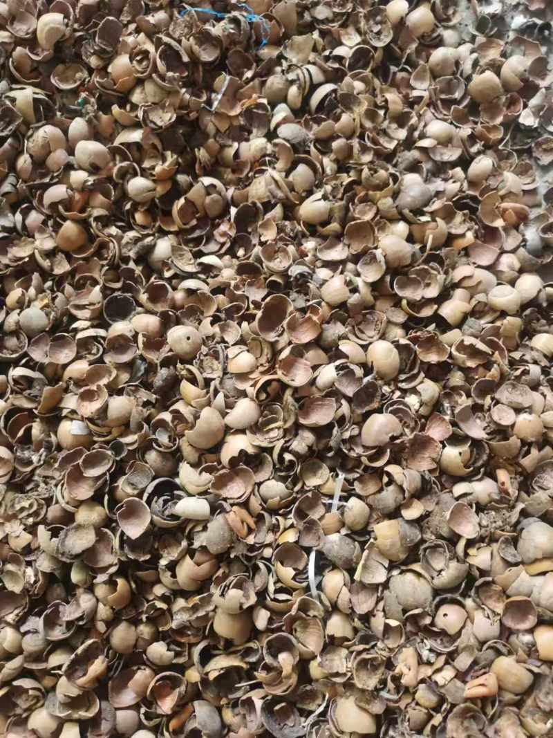 青㭎壳能种植多种食用品种菌透气性好欢迎致电