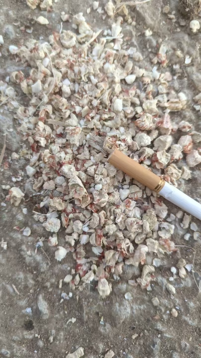 玉米芯颗粒大小可调人工包压缩包都有对接全国