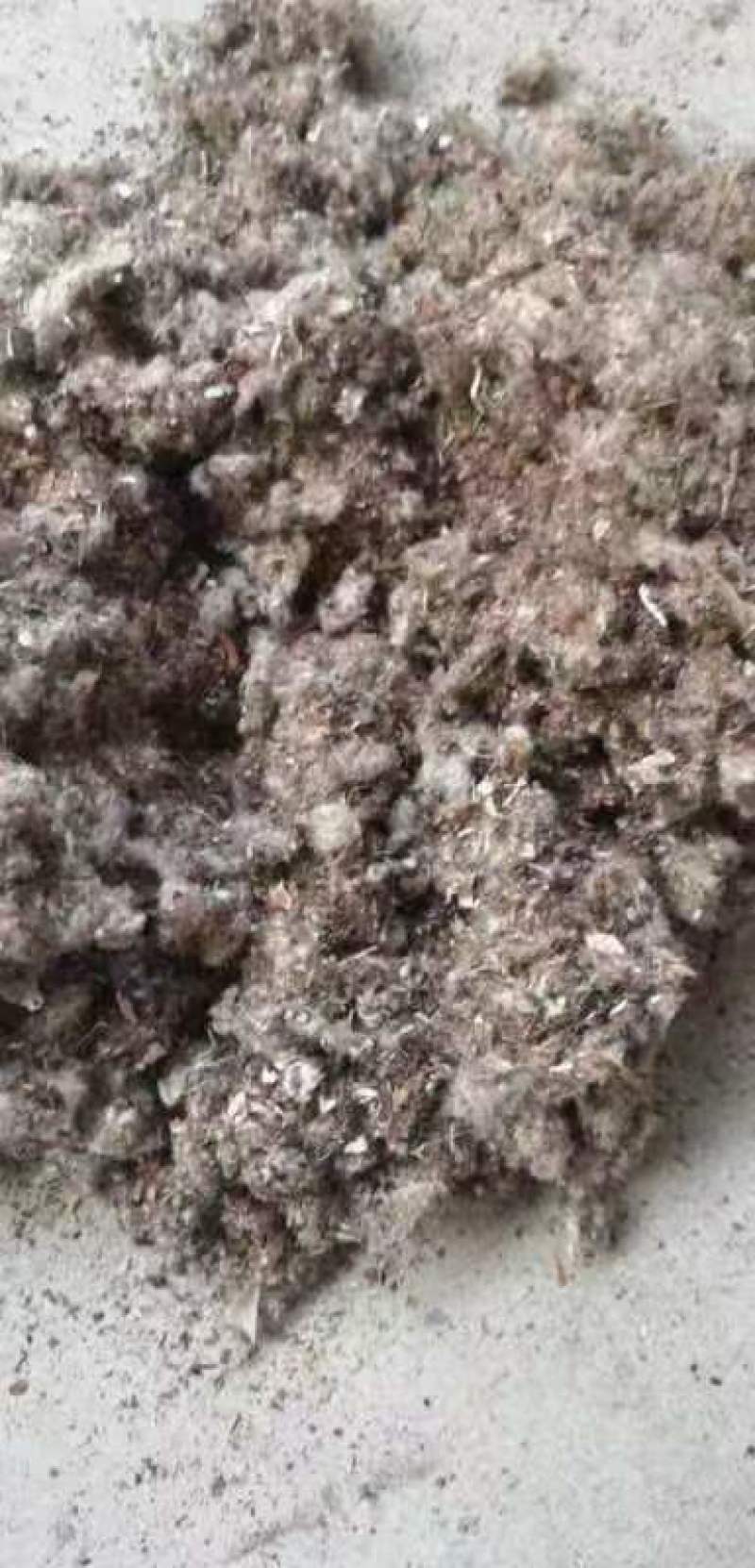 棉渣大量有货人工包压缩包均有货可视频看货