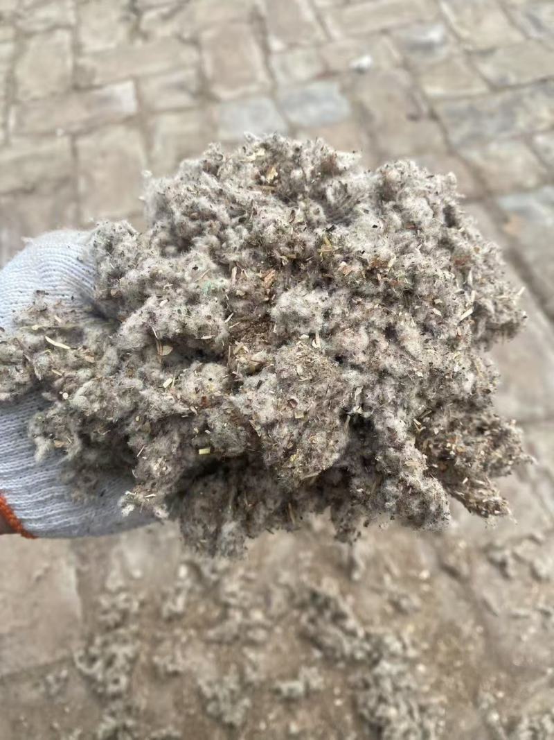 棉渣大量有货人工包压缩包均有货可视频看货