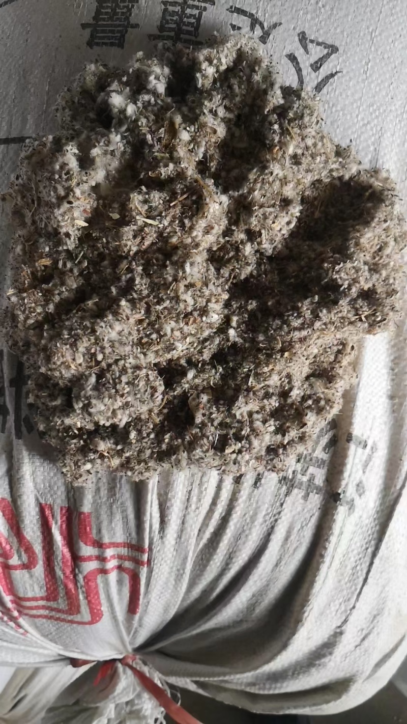 棉渣大量有货人工包压缩包均有货可视频看货