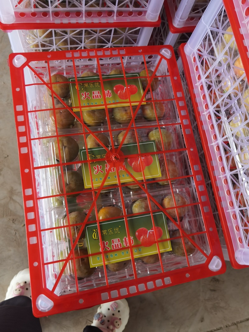当季软甜火晶柿子，量大从优