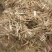 稻草草节喂牛种食用菌都可以无土无膜无霉变