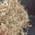 稻草草节喂牛种食用菌都可以无土无膜无霉变