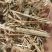 稻草草节喂牛种食用菌都可以无土无膜无霉变