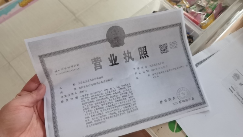 当季软甜火晶柿子，量大从优