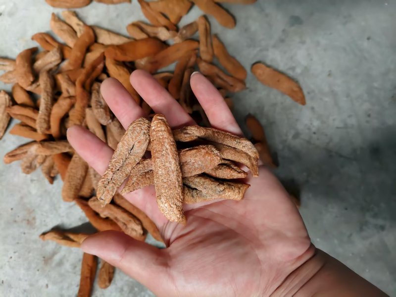 茄参海参烘干出数量大价优/可视频看货/欢迎咨询