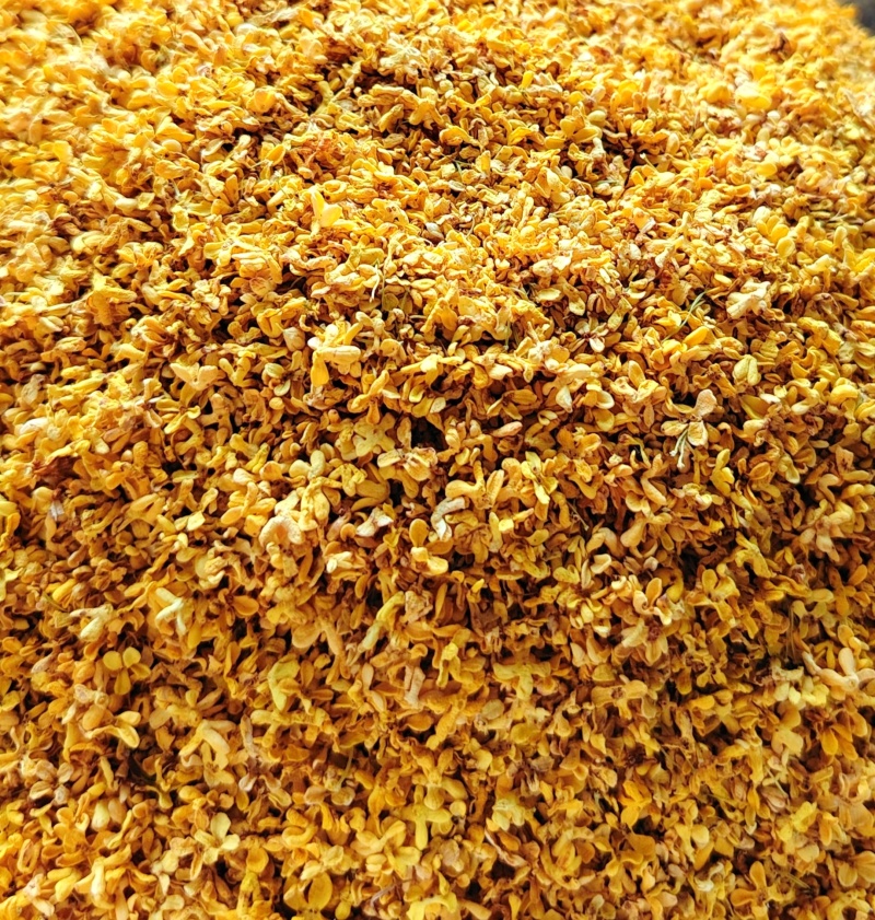 广西精品新鲜干桂花桂花干农副干货大量现货