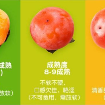 【临潼火晶柿子】长安糖心软柿子非巧克力脆柿4斤新鲜水果代