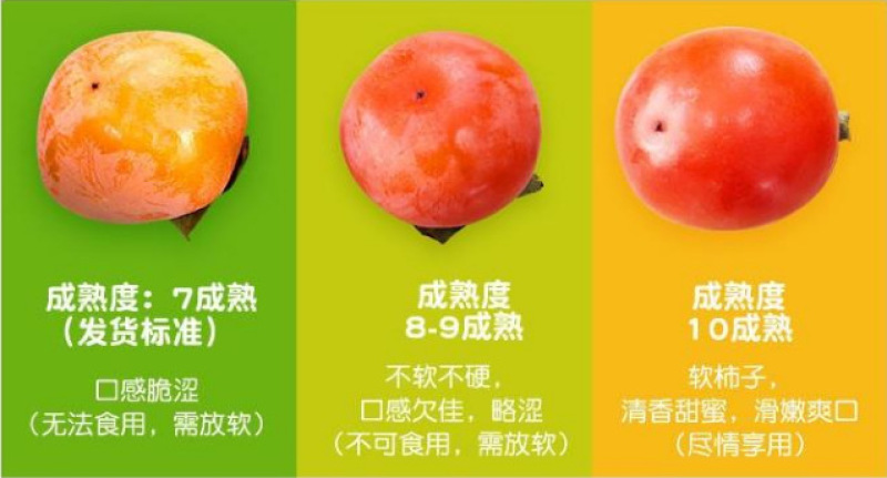 【临潼火晶柿子】长安糖心软柿子非巧克力脆柿4斤新鲜水果代