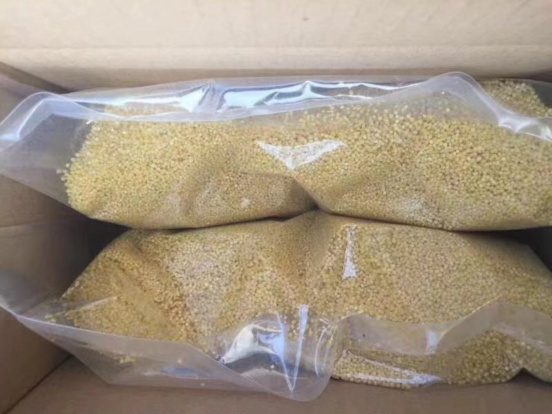 沂蒙山黄小米农家自种当季鲜米能熬出油精选5斤新鲜粗粮一件