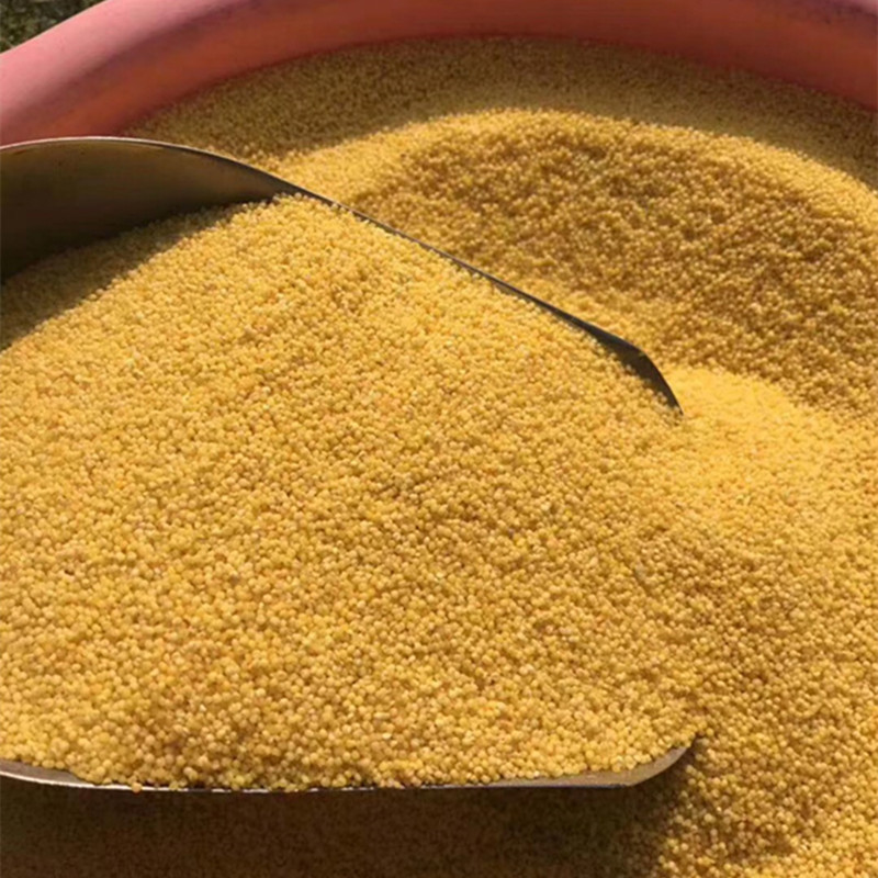 沂蒙山黄小米农家自种当季鲜米能熬出油精选5斤新鲜粗粮一件