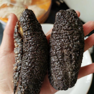 【红极参新鲜海参顺丰包邮】即食鲜美细嫩3斤新鲜海鲜一