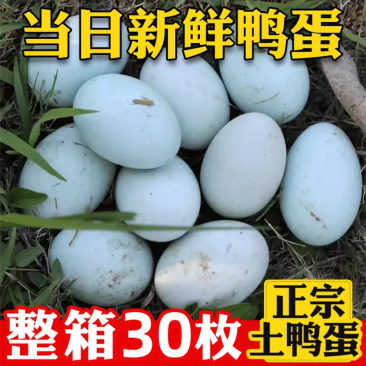 沂蒙山农家露天散养土鸭蛋生态农家谷物30枚新鲜蔬菜一件