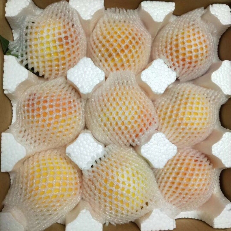 【大沙河仲秋水蜜桃】蜜甜多汁5斤非黄桃非蟠桃新鲜水果一件