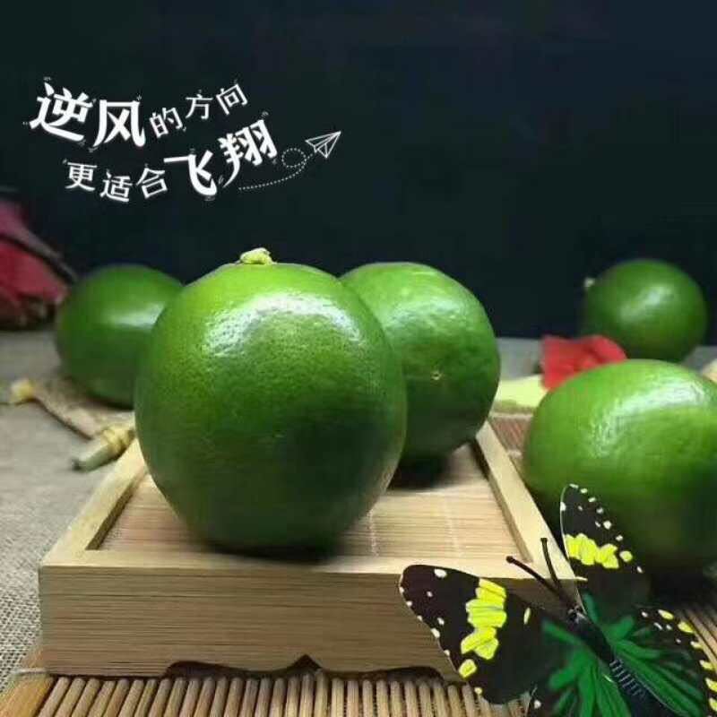 【重庆香水青柠檬】当季新鲜水果香味浓郁10斤非安岳黄柠檬