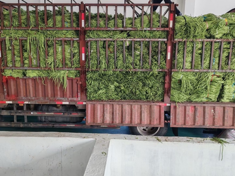 原味豆角红油豆角红油香脆豆角酸辣缸豆