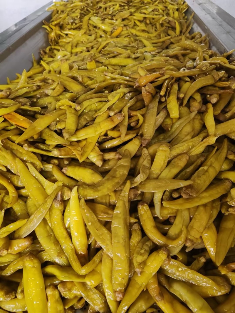 油焖黄金椒，精品泡椒，品质保证，价格优惠