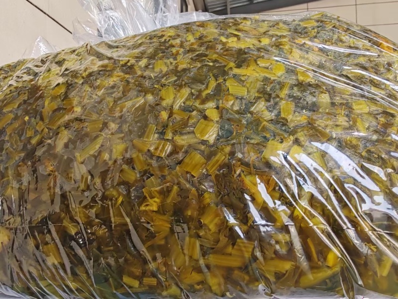 纯手工雪菜，精制雪菜，品质保证，价格优惠