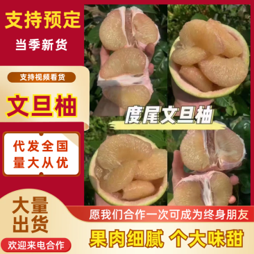 【放心购买】文旦柚度尾红心文旦柚产地直发欢迎咨询