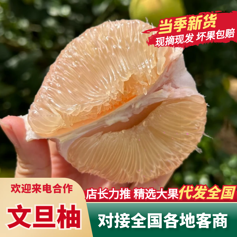 【大量供应】文旦柚福建文旦柚度尾红心文旦柚基地直发