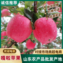 【老板力荐】嘎啦苹果大量有货价格合理电话联系