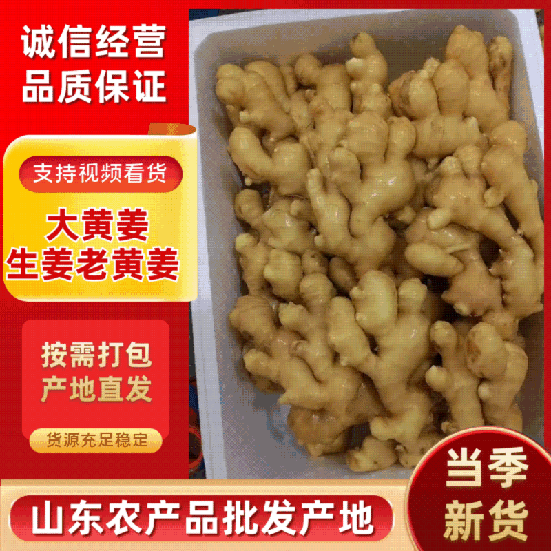 【售后无忧】大黄姜水洗出口贸易量大发货欢迎联系