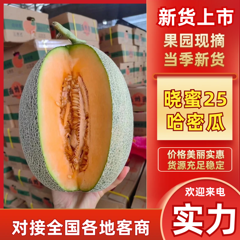 海南晓蜜25哈密瓜海南哈密瓜产地直发提供一条龙服务